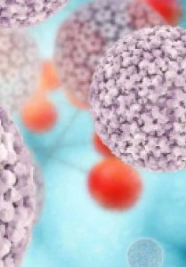 papilloma virus